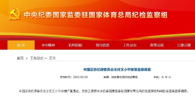 精品久久亚洲一级α