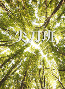 第九色